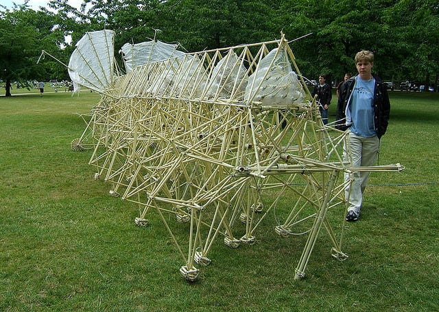 Strandbeest Exhibit at the Peabody Essex Museum