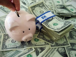 Money and piggy bank