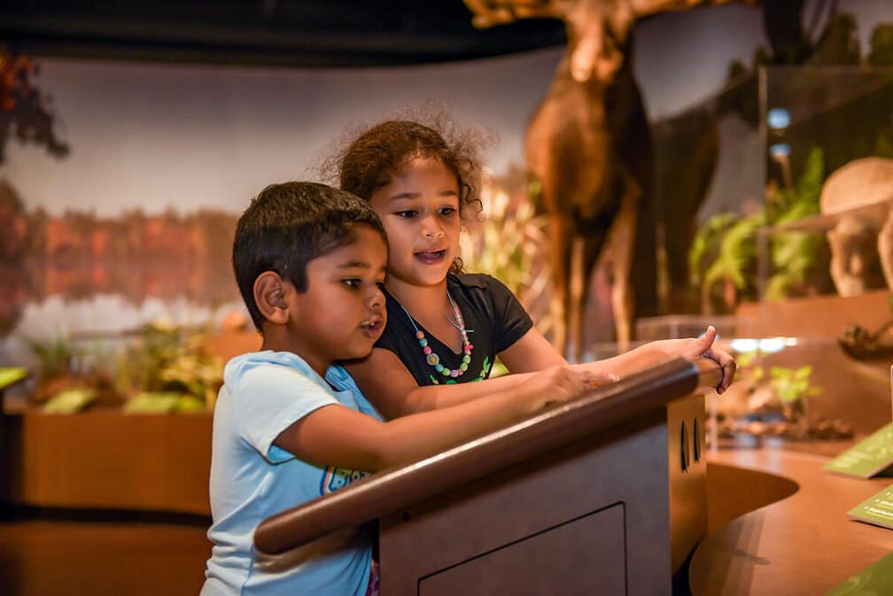 children enjoying an exhibit at harvard museum of natural history