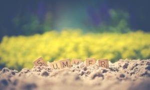 summer-letter-cube-on-soil_picture by Ylanite Koppers from Pexels