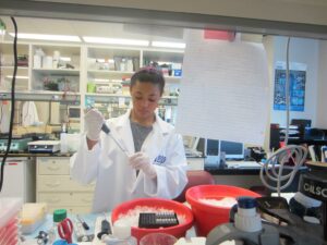 AEOP high school student apprentice at University of Maryland Center for Vascular and Inflammatory Diseases