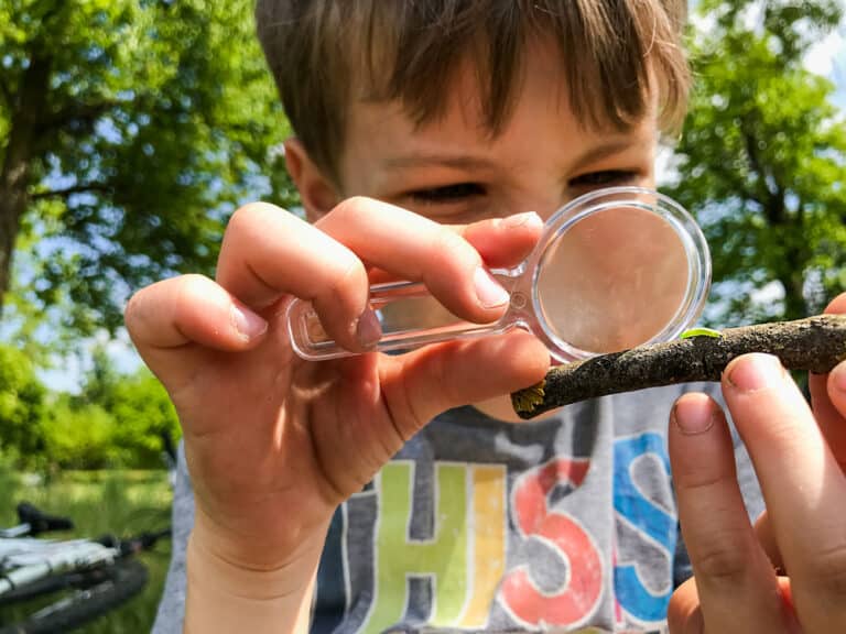 Boy studying stick with magnifying glass